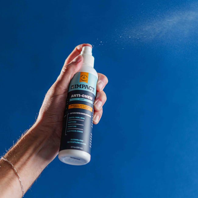 A person's hand holding a white spray bottle labeled 'Impact Anti-Chew,' positioned against a blue wall with visible spray mist in the air. The hand is slightly angled, with fingers wrapped around the